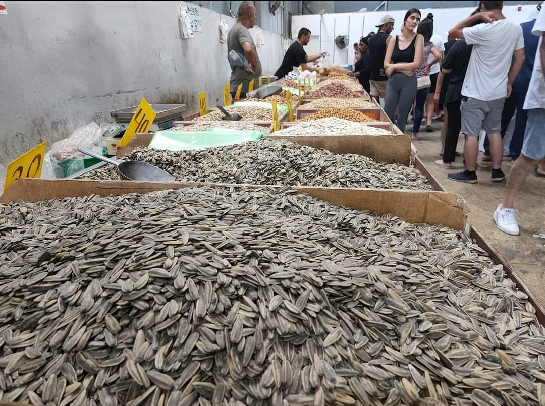 WhatsApp Image 2023-11-09 at 19.53.02.jpeg